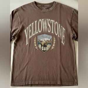 Abercrombie & Fitch Yellowstone National Park Graphic T-shirt